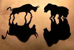 Bull Shadows