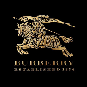 Burberry Logo Gold